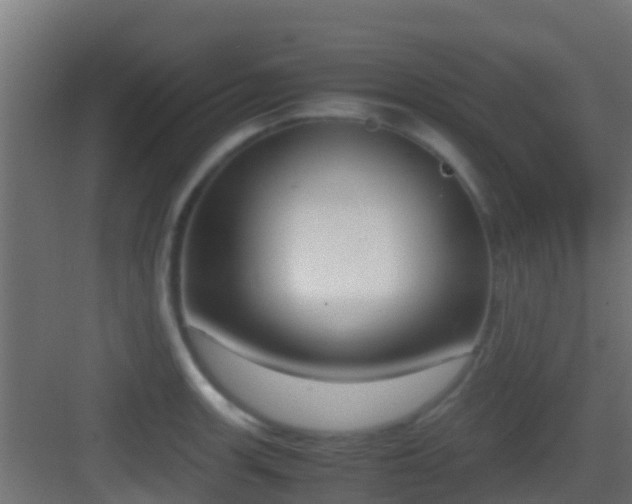 X0000083011139200702091244