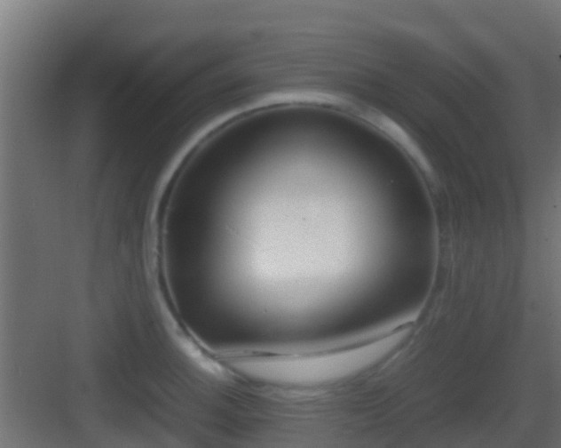 X0000083011140200702091244