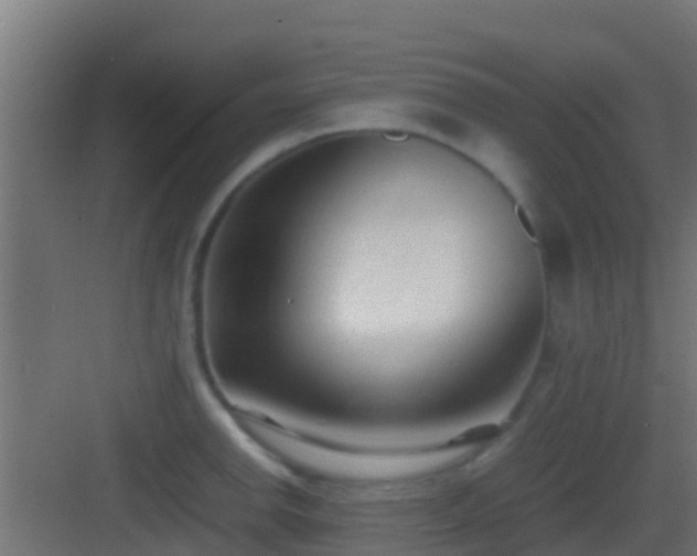 X0000083011142200702091244