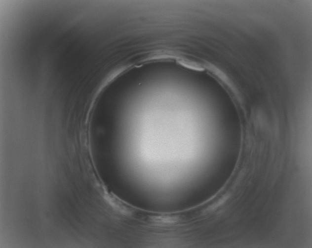 X0000083011145200702091244