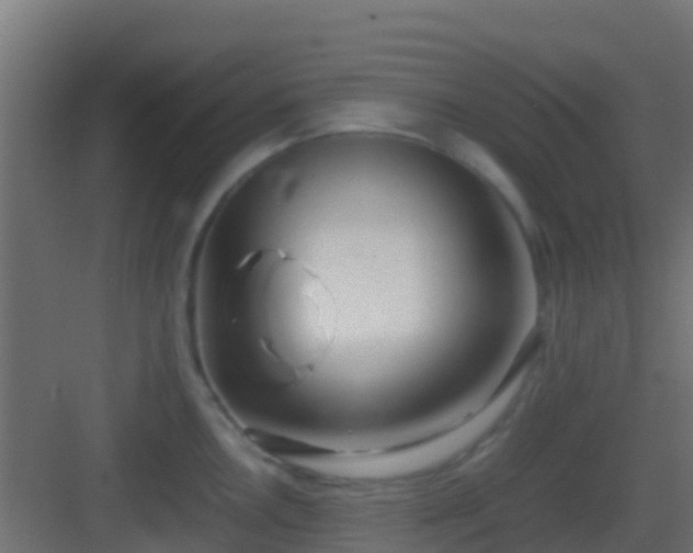 X0000083011146200702091244