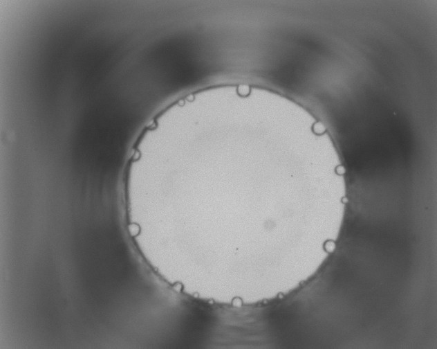 X0000083011150200702091244