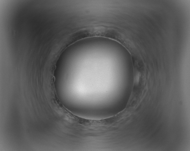 X0000083011153200702091243