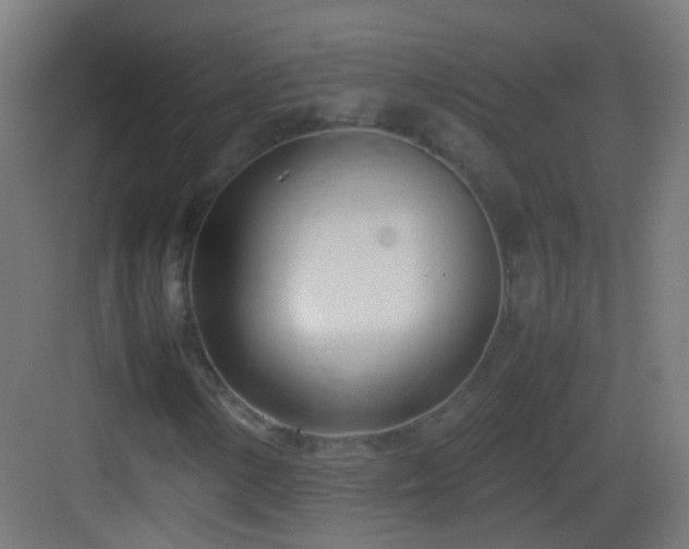 X0000083011154200702091243