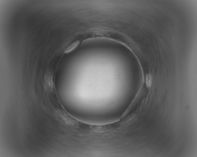 X0000083011155200702091243