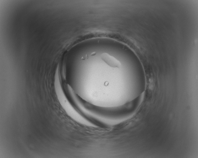 X0000083011157200702091243