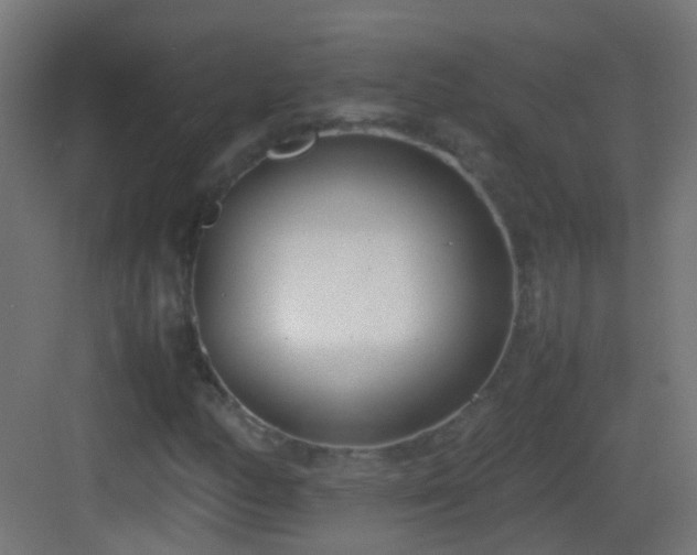 X0000083011158200702091243