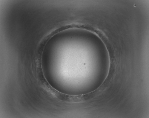 X0000083011159200702091243