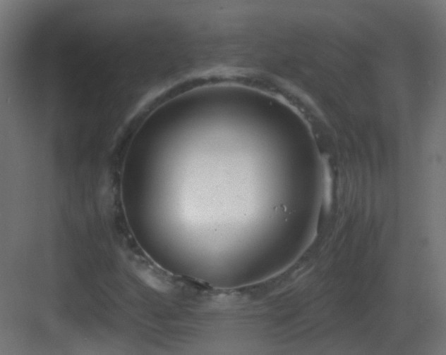 X0000083011160200702091243