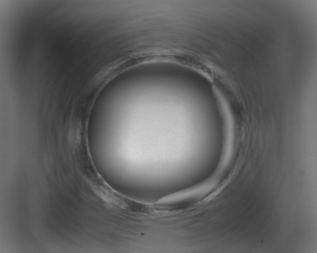 X0000083011161200702091243