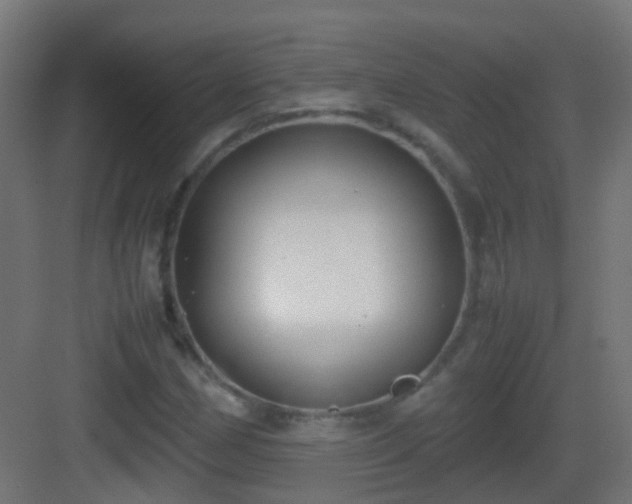 X0000083011162200702091243