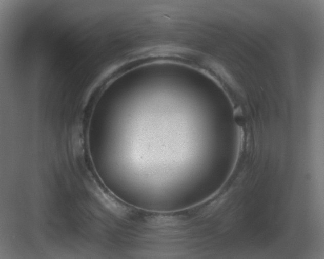 X0000083011164200702091243