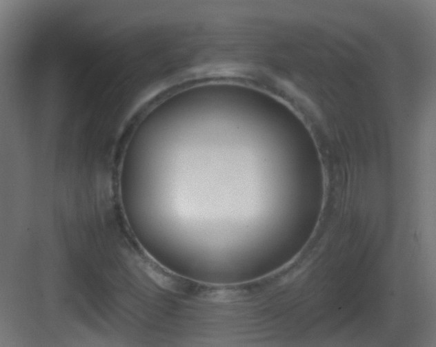 X0000083011166200702091243