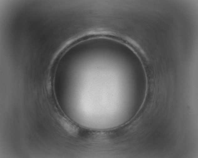 X0000083011167200702091243