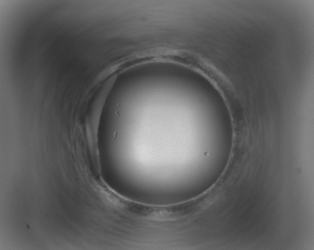 X0000083011169200702091243