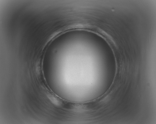 X0000083011170200702091243