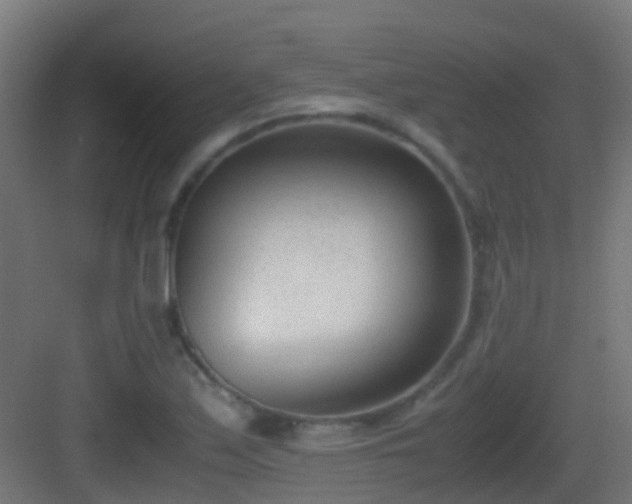 X0000083011171200702091243