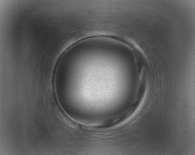 X0000083011173200702091243