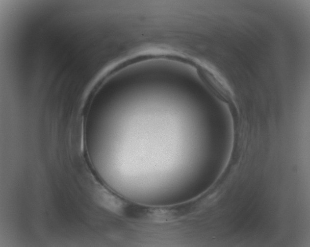 X0000083011175200702091243