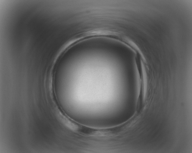 X0000083011179200702091243