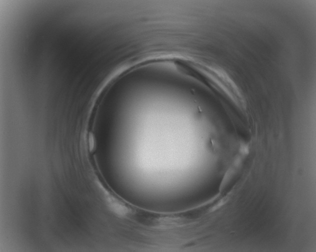 X0000083011181200702091243