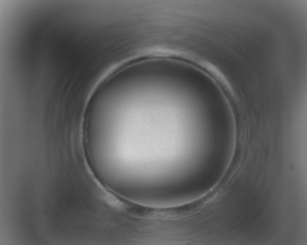 X0000083011183200702091243