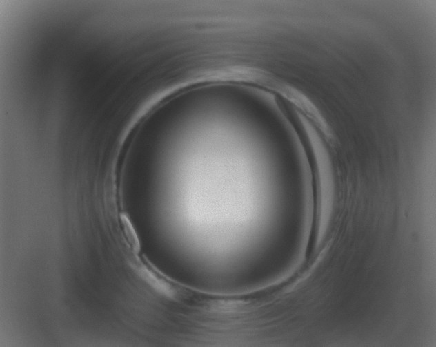 X0000083011184200702091243