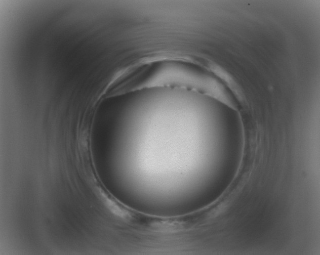 X0000083011185200702091243