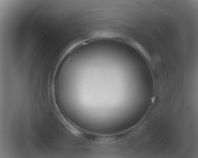 X0000083011187200702091243