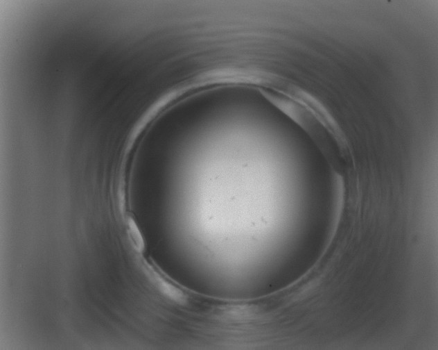 X0000083011188200702091243