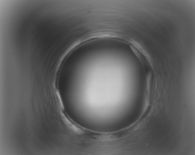 X0000083011189200702091243