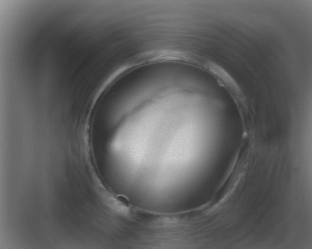 X0000083011190200702091243