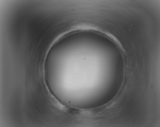 X0000083011191200702091242