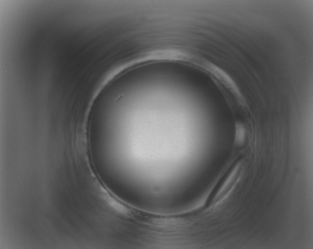 X0000083011192200702091242