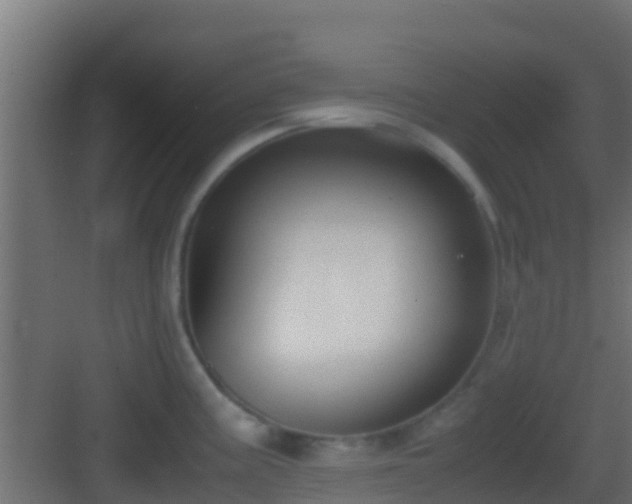 X0000083011195200702091242