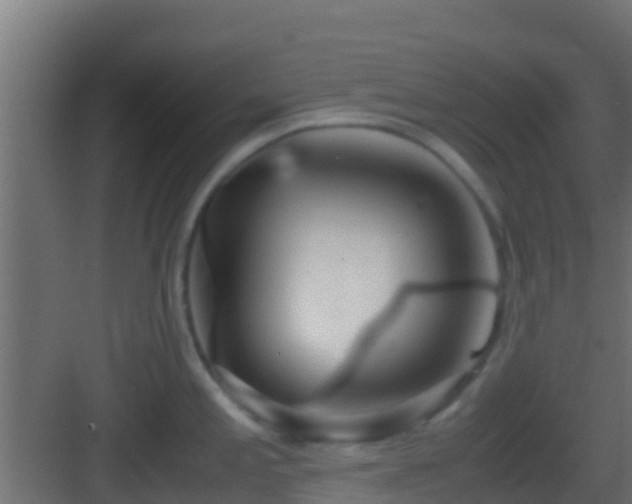 X0000083011197200702091242