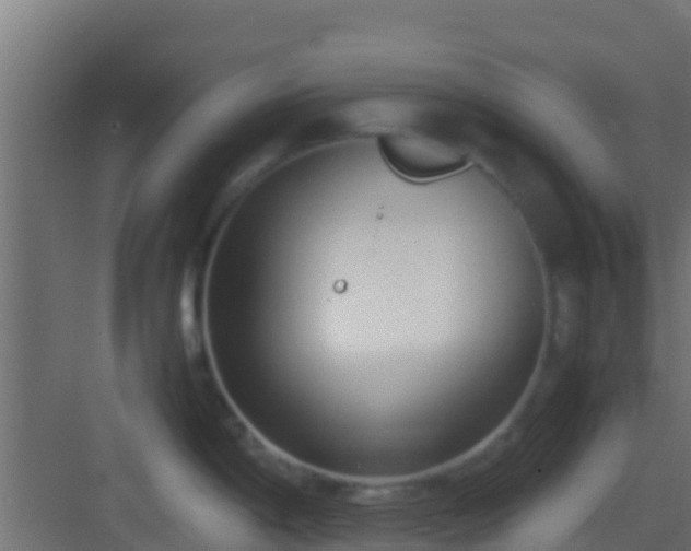 X0000083011198200702091242