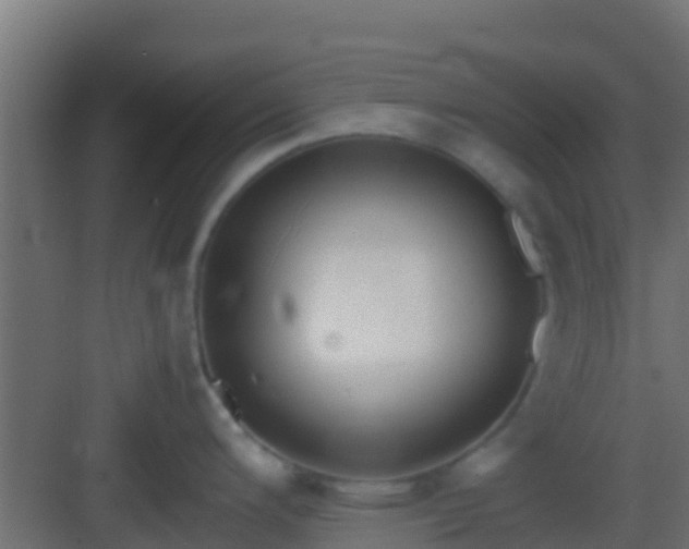 X0000083011200200702091242