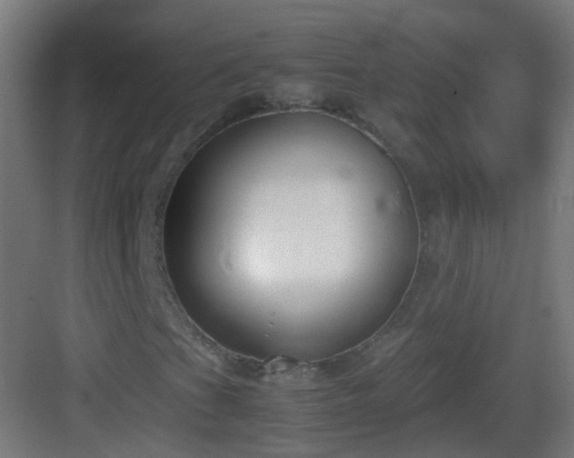 X0000083011201200702091242