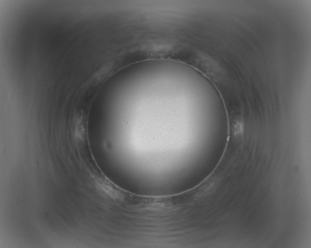 X0000083011204200702091242