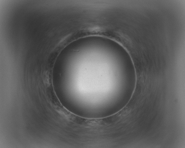 X0000083011205200702091242