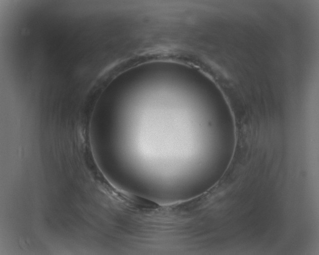 X0000083011206200702091242