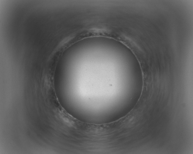 X0000083011207200702091242