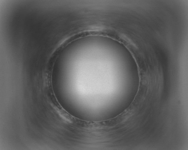 X0000083011208200702091242