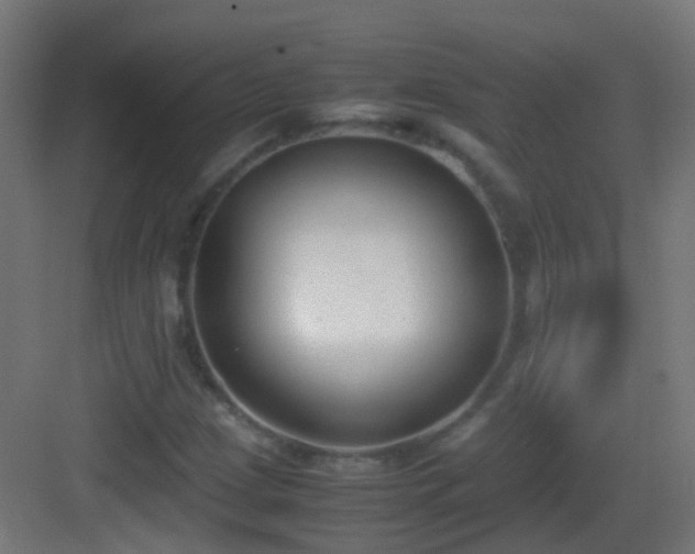 X0000083011209200702091242