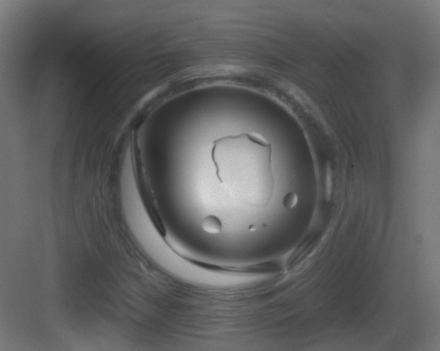 X0000083011210200702091242