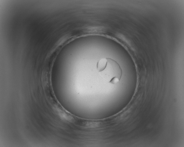 X0000083011211200702091242