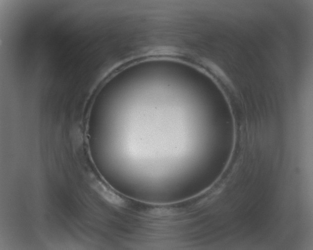 X0000083011212200702091242