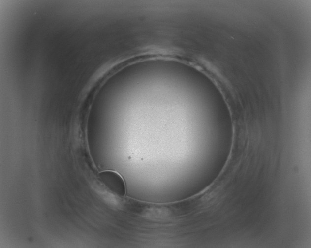 X0000083011215200702091242