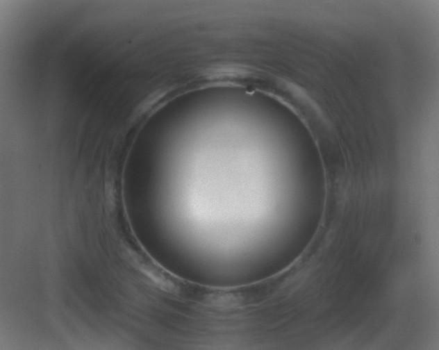 X0000083011217200702091242